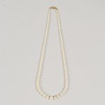 1747 5396 Pärcollier